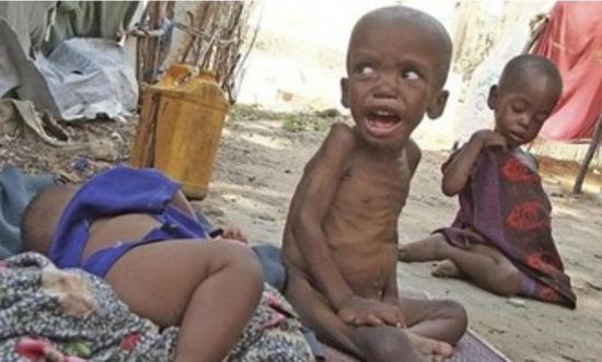 الولايات المتحدة: يجب إجراء الانتخابات الصومالية بشكل فوري