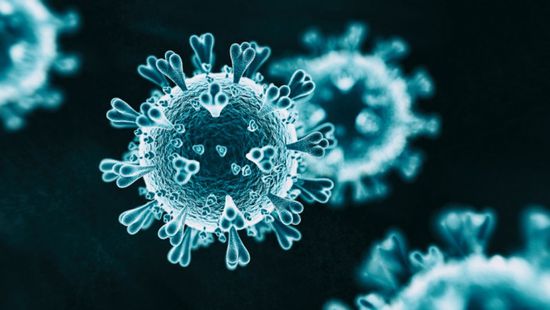  وادي حضرموت يسجل إصابة جديدة بفيروس كورونا