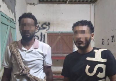 ضبط 3 مطلوبين في قضايا أمنية بالمنصورة