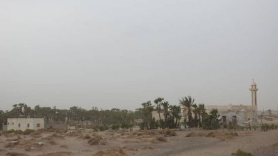 أضرار بمزارع في التحيتا جراء هجمات الحوثيين