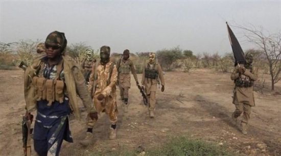 نيجيريا تقبض على 40 شخصًا في عمليات استهدفت العصابات المسلحة