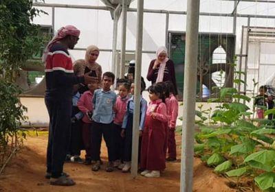 "خليفة الإنسانية" تطلق مبادرة لتشجير مدارس سقطرى