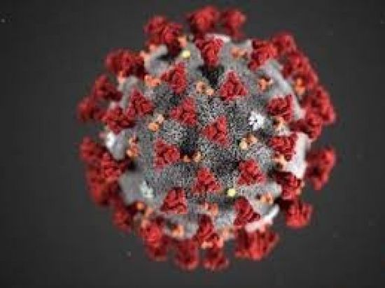 "صحة وادي حضرموت" ينفي فحص حالات اشتباه بـ"كورونا"