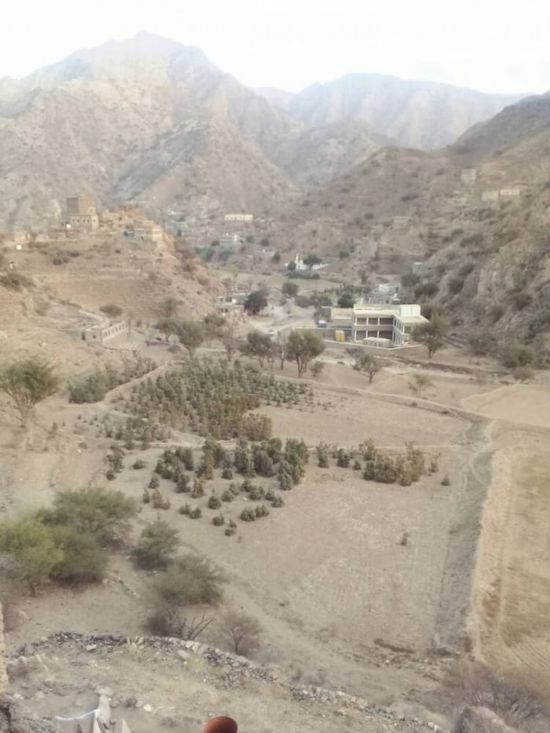 الضباب الكثيف يتسبب في فقدان 6 أطفال بأبين