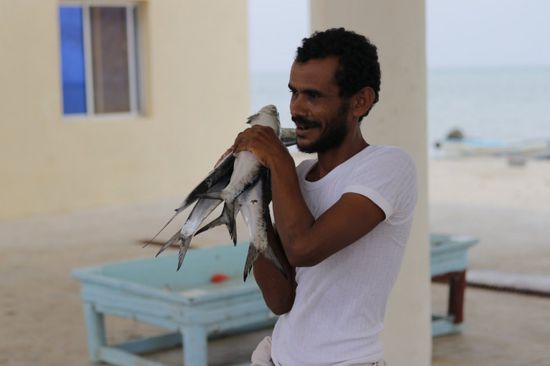  60 ألف مستفيد من تأهيل مراكز الصيد في ذُباب والمخا