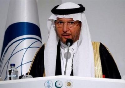 العثيمين يدين إطلاق مُسيرة حوثية تجاه السعودية