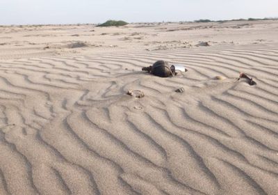 العثور على عدة ألغام أرضية في ساحل أبين