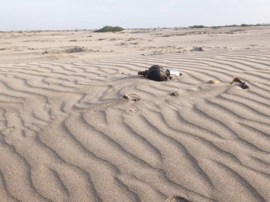 العثور على عدة ألغام أرضية في ساحل أبين