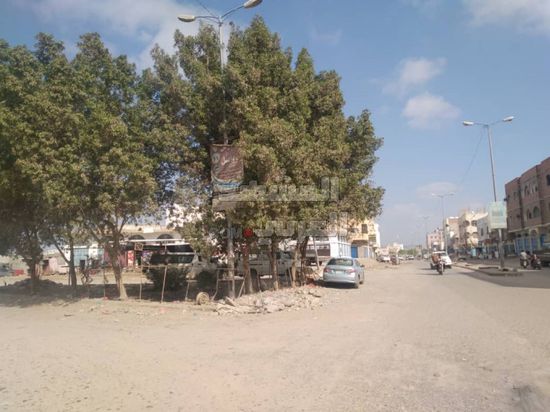 أشجار الزينة بلا رعاية في شوارع جعار