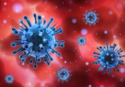 20 مصابًا بكورونا و135 مخالطا جديدًا في وادي حضرموت