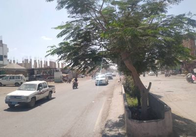 خبراء يطرحون حلولًا لتشجير شوارع أبين