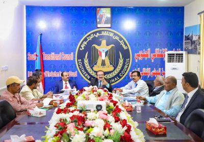 "خارجية الجمعية الوطنية" تستعرض خطة عملها وتقرير إنجازاتها