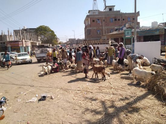 انتعاش حركة البيع بسوق الأغنام في زنجبار