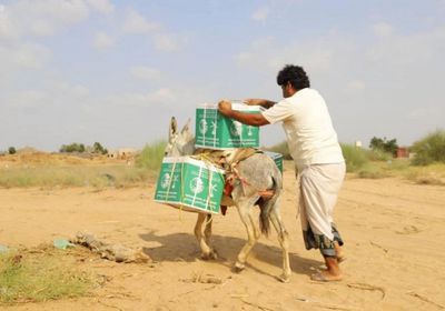 إغاثة أكثر من 19 ألف نازح في مديريات حجة