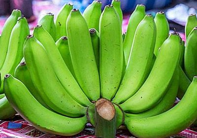 خبراء تغذية يكشفون فوائد الموز الأخضر