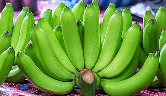 خبراء تغذية يكشفون فوائد الموز الأخضر