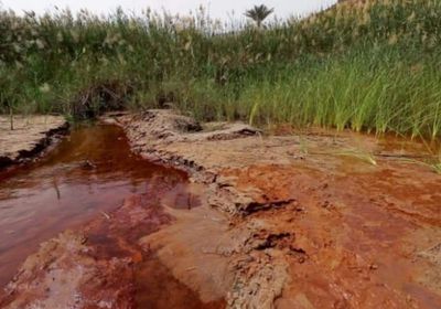 أزمة تسرب نفطي في الروضة تنذر بأزمة بيئية