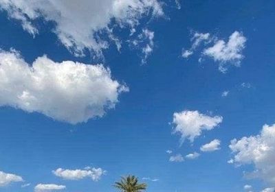 طقس صحو ورياح معتدلة على سواحل الجنوب غدًا