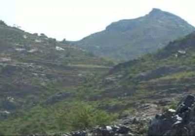 مصادر تنفي سقوط صاروخ على حجاف