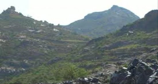 مصادر تنفي سقوط صاروخ على حجاف