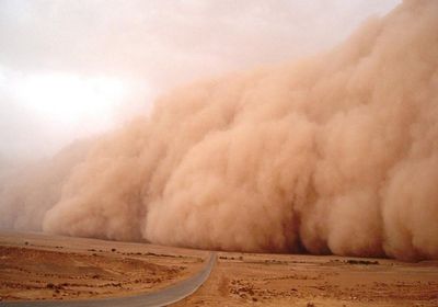 موجة غبار ورياح بسواحل الجنوب وصحاريه