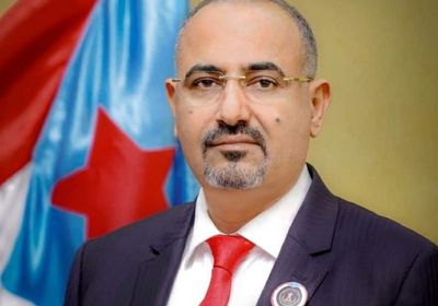 تعيين عمرو البيض ممثلًا خاصًا لرئيس الانتقالي للشؤون الخارجية