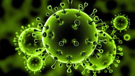 4 وفيات و61 إصابة جديدة بفيروس كورونا