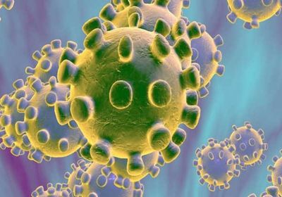 بإجمالي 194 مصابًا.. الكشف عن 26 حالة "كورونا" في تعز