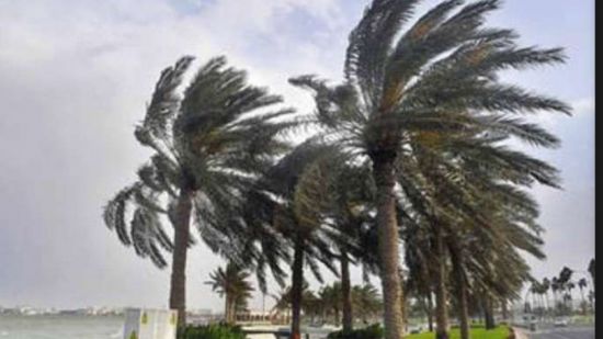 توقعات برياح معتدلة على سواحل الجنوب غدًا