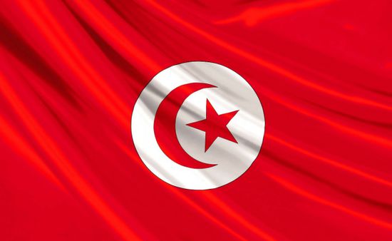 تونس: المبادرة السعودية خطوة نحو الحل السياسي