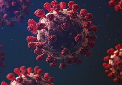 84 إصابة فيروس كورونا بعدن و5 محافظات