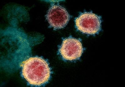 "لجنة كورونا": 81 ضحية جديدة للفيروس الوبائي
