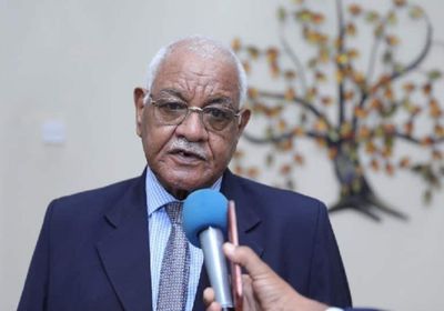  تفاصيل لقاء رئيس مفوضية السلام في السودان مع السفيرة النرويجية