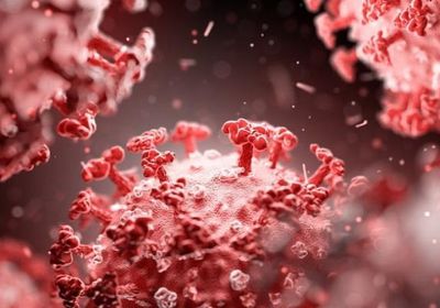 تسجيل 4 وفيات و18 إصابة بفيروس كورونا في ساحل حضرموت