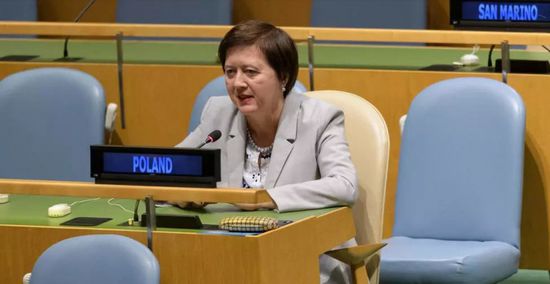 تعيين يُوانّا فرونيسكا منسقة خاصة للأمم المتحدة في لبنان