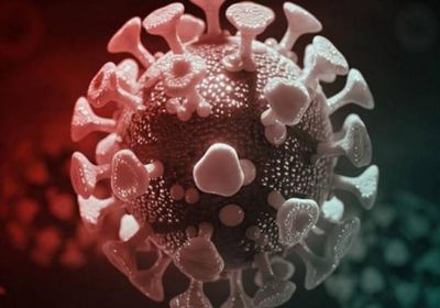 تراجع الإصابات بكورونا في المهرة لـ 4 حالات