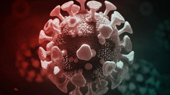 تراجع الإصابات بكورونا في المهرة لـ 4 حالات