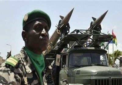 الجيش المالي يقتل 4 إرهابيين بمدينة نامبالا