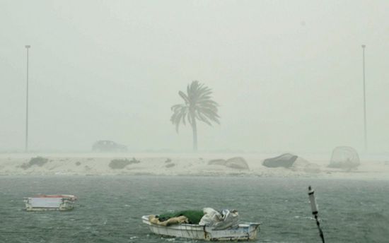 طقس مغبر نسبيًا على السواحل غدًا