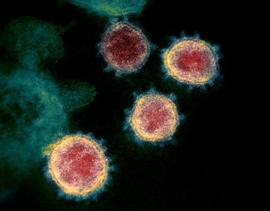 فيروس كورونا يوقع 22 ضحية في ساحل حضرموت