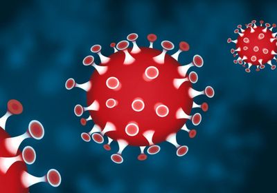 600 إصابة تراكمية بكورونا في تعز