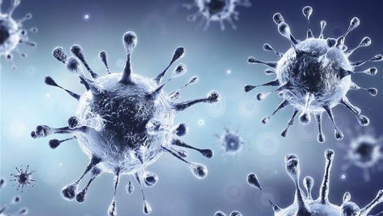 بين 64 حالة اشتباه.. 24 إصابة بكورونا في تعز