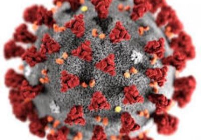 605 مخالطين لمصابي كورونا بوادي حضرموت