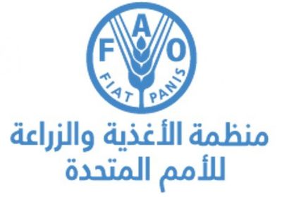 "فاو": الكوليرا مرض متوطن في اليمن لندرة المياه