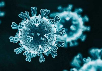 إصابة 7 مواطنين بكورونا في ساحل حضرموت