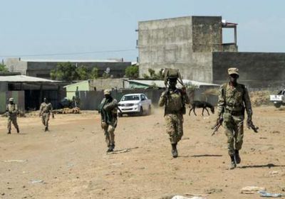 أمريكا تطالب إريتريا بسحب قواتها من إثيوبيا