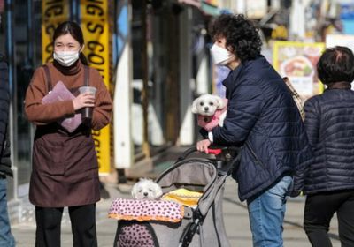 كورونا.. كوريا الجنوبية تسجل 672 إصابة و3 وفيات