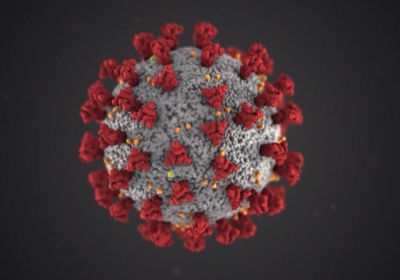 7 مصابين وشفاء 7 آخرين من كورونا بوادي حضرموت