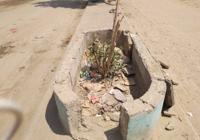 تخريب أحواض أشجار الزينة في جعار