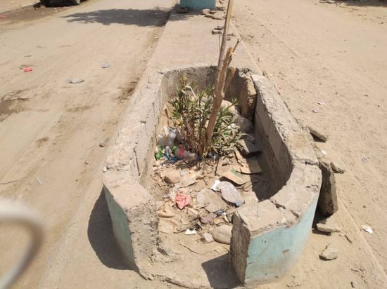 تخريب أحواض أشجار الزينة في جعار